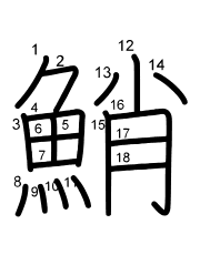 Thứ tự nét chữ 鮹