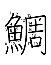 Thứ tự nét chữ 鯛