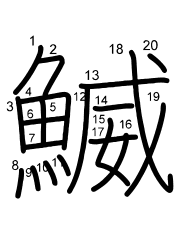 Thứ tự nét chữ 鰄
