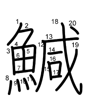 Thứ tự nét chữ 鰔