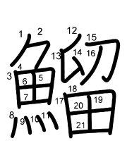 Thứ tự nét chữ 鰡
