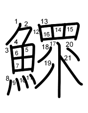 Thứ tự nét chữ 鰥