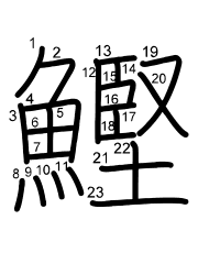 Thứ tự nét chữ 鰹