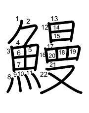 Thứ tự nét chữ 鰻