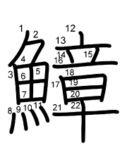 Thứ tự nét chữ 鱆
