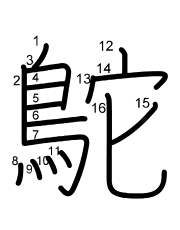 Thứ tự nét chữ 鴕