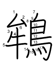 Thứ tự nét chữ 鴾