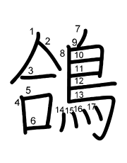 Thứ tự nét chữ 鴿