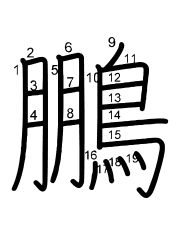Thứ tự nét chữ 鵬