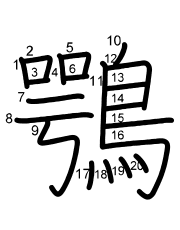 Thứ tự nét chữ 鶚